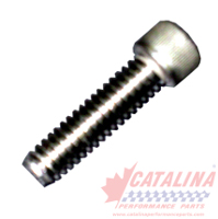 Reverse Bucket Stop Stainless Steel Socket Head Cap Screw, 1/4 inch x 1 inch.