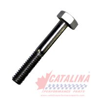 Bearing Cap, Hex Head, Stainless Steel, Capscrew Kit, (4) 5/16 inch x 2 inch.